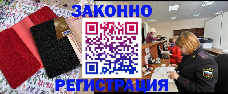 прописка поиск в Камышине